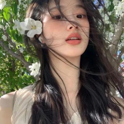 哈莱姆的郁金香